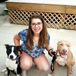 Meet your Posher, Dom